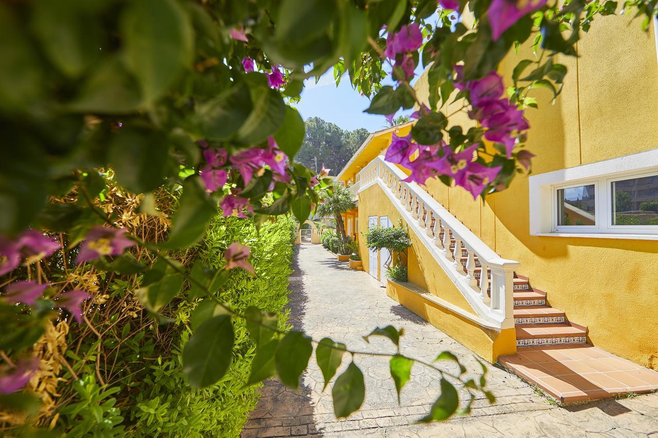 Hotel Cupidor باغيرا المظهر الخارجي الصورة